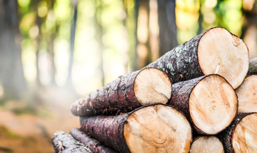 Indian Rosewood